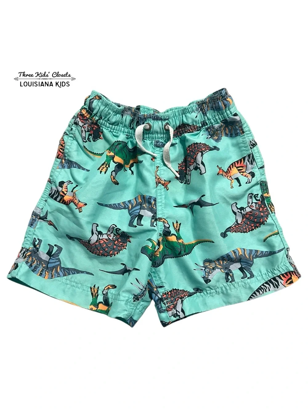 Hanna Andersson Sz 100 (4) Mint Dinosaur Print Swim Shorts